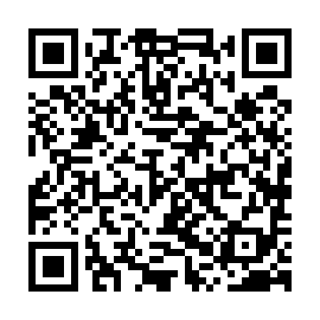 QR code for MPX599