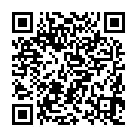 QR code for MSA991