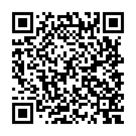 QR code for MSN953