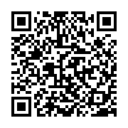 QR code for MYS919
