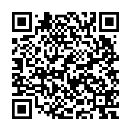QR code for NER619