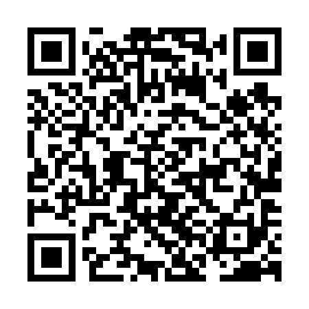 QR code for NFL691