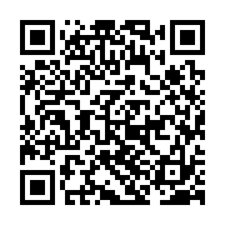 QR code for NFM333