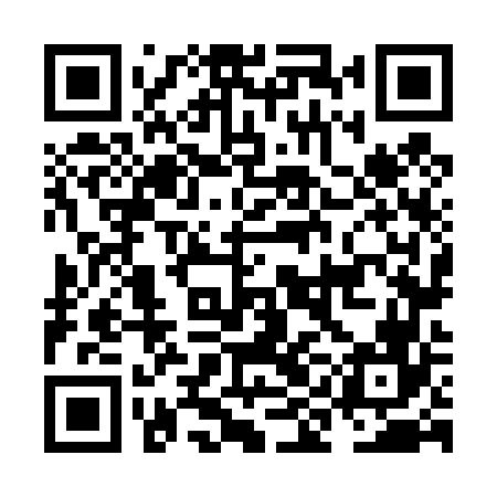 QR code for NIN466