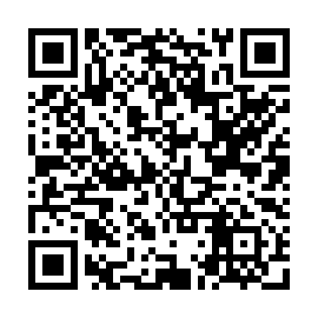 QR code for NLR291