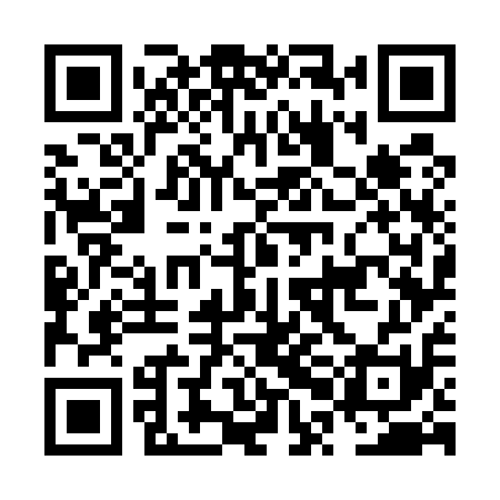 QR code for NPG511