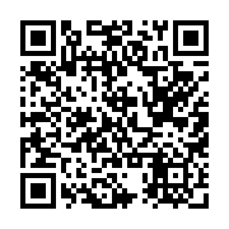 QR code for NPU489