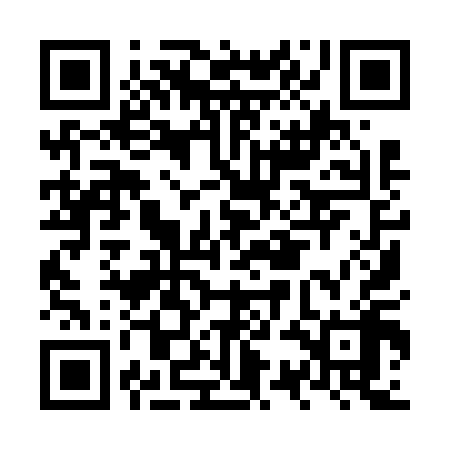 QR code for NSI618