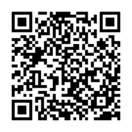 QR code for NXV387