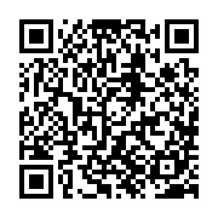 QR code for NZH385
