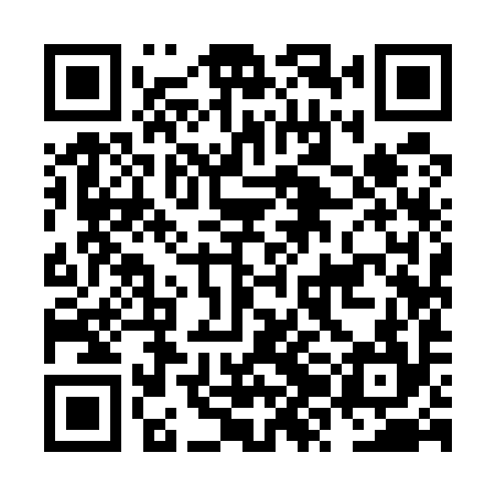QR code for NZI594