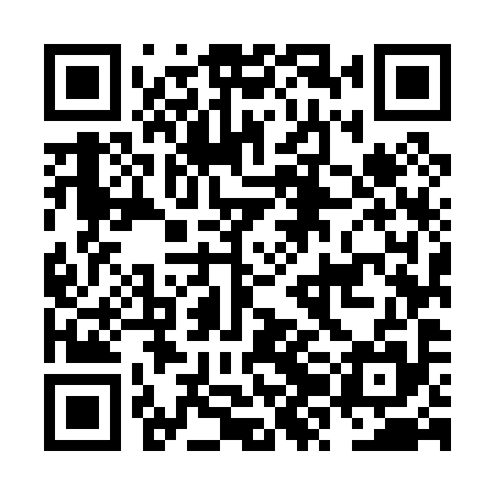 QR code for NZM095