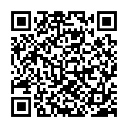 QR code for OAO333