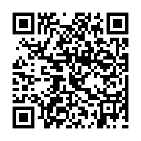 QR code for OAV317
