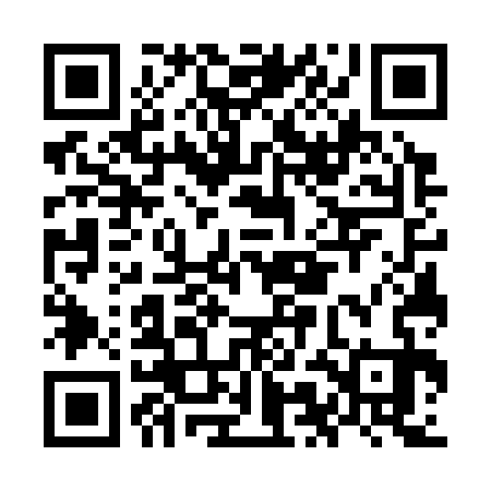 QR code for OMG333