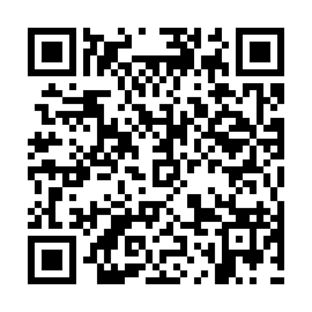 QR code for OOM393