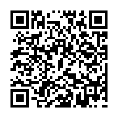 QR code for PAF938