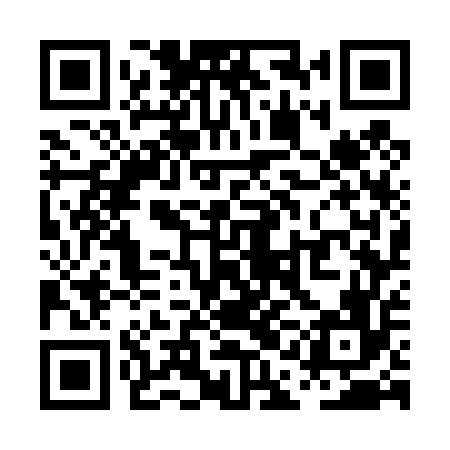 QR code for PAG456