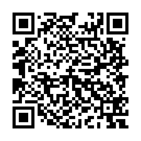 QR code for PAH519
