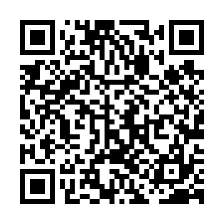 QR code for PAL637