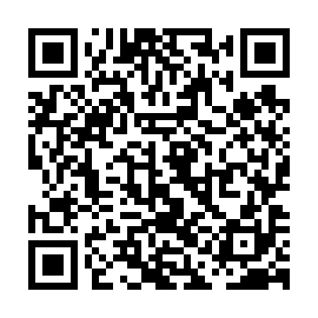 QR code for PAO690