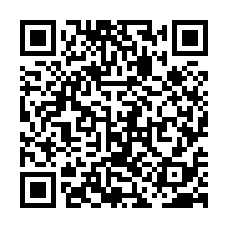 QR code for PAO818