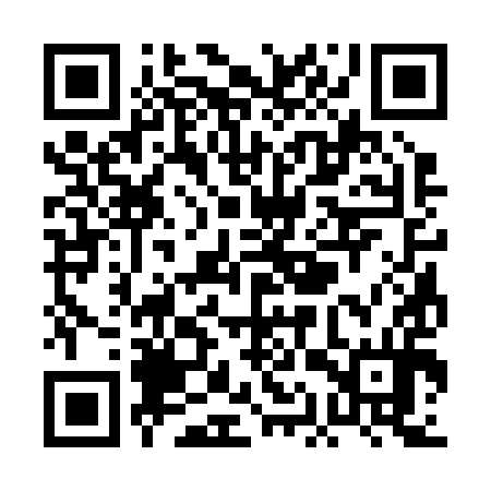 QR code for PAS294