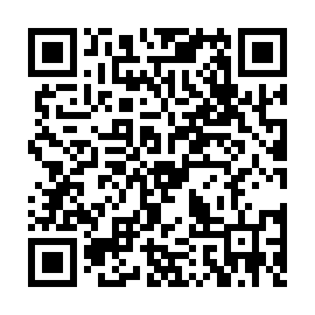 QR code for PAY156
