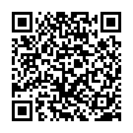QR code for PDG371