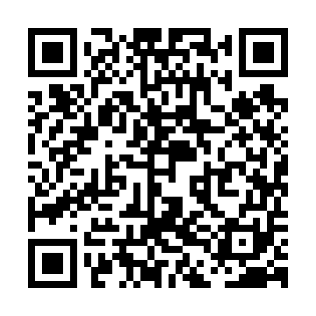 QR code for PDI651