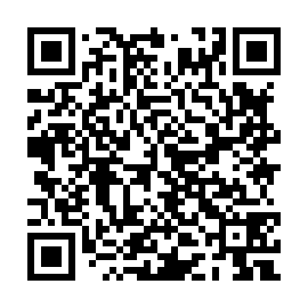 QR code for PDI878