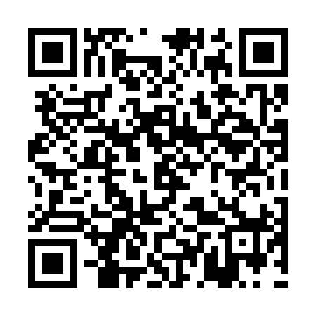 QR code for PDT398