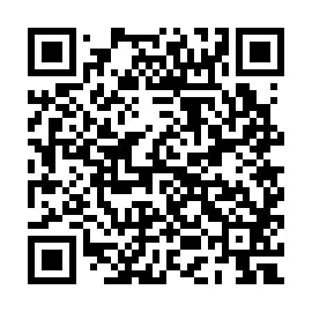 QR code for PEG382