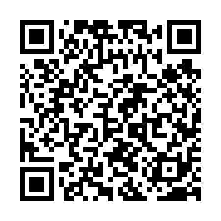 QR code for PEV611