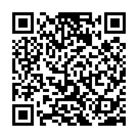 QR code for PGG539