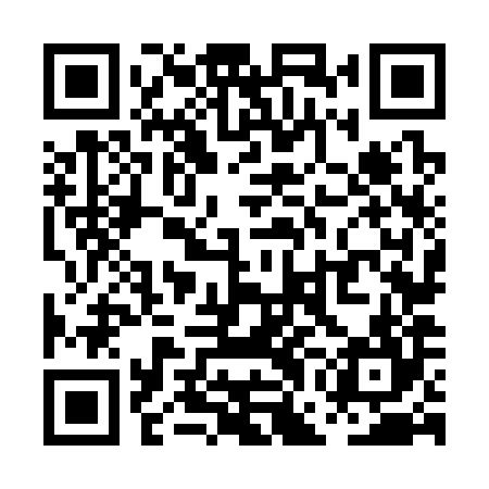 QR code for PGN384