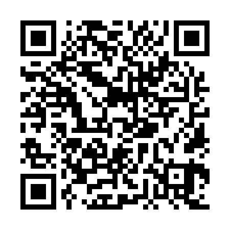 QR code for PGO161