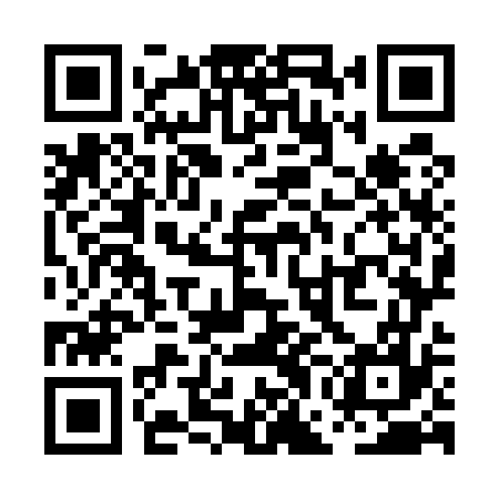 QR code for PGO577