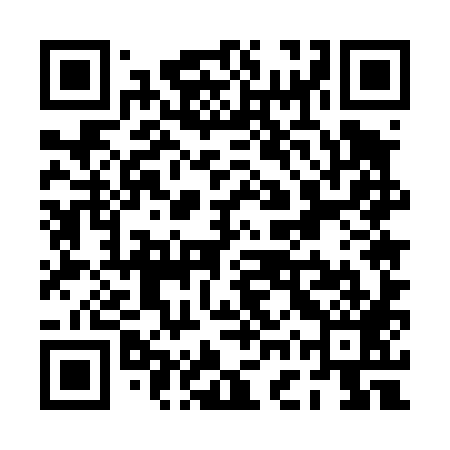 QR code for PGU489