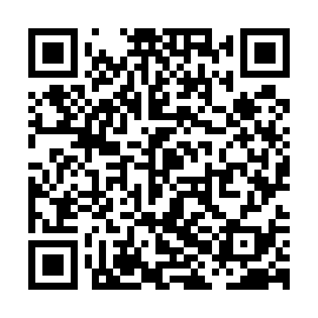 QR code for PHO539