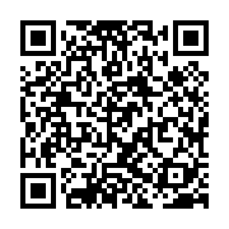 QR code for PHZ029