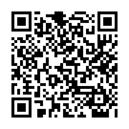 QR code for PID295