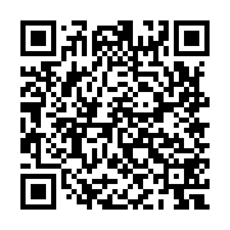 QR code for PIE958