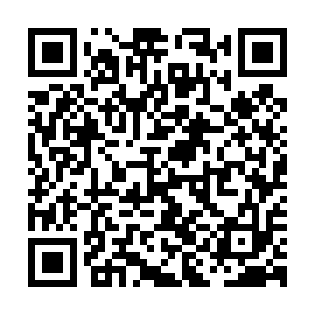QR code for PIG413
