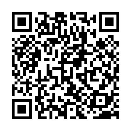 QR code for PII038
