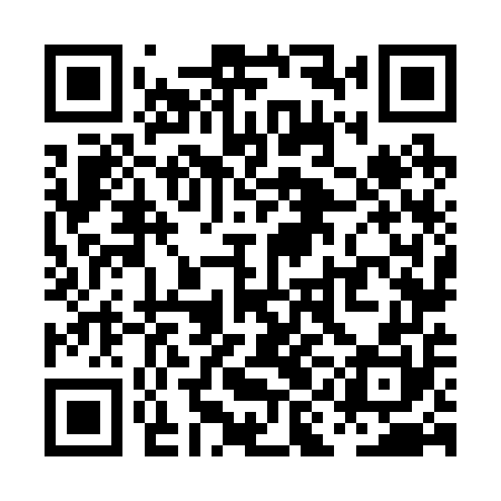 QR code for PIN250