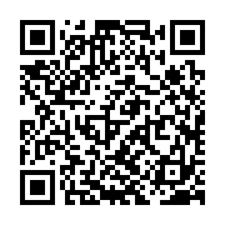 QR code for PIR333