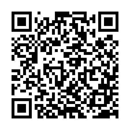 QR code for PIV542