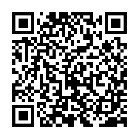 QR code for PKE383
