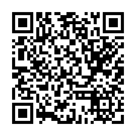 QR code for POI387